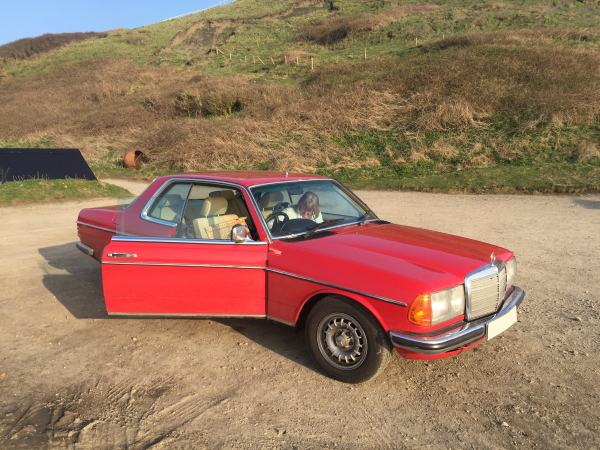 Bertha At Kimmeridge