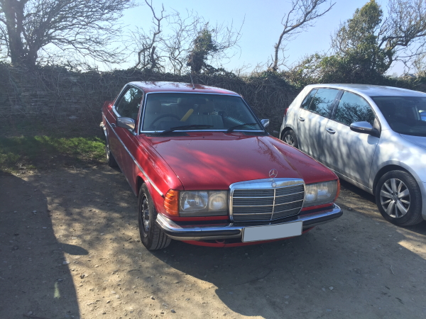 Bertha At Worth Matravers