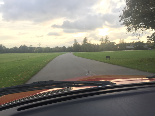 Bertha At Goodwood