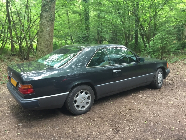 Clara In The Woods