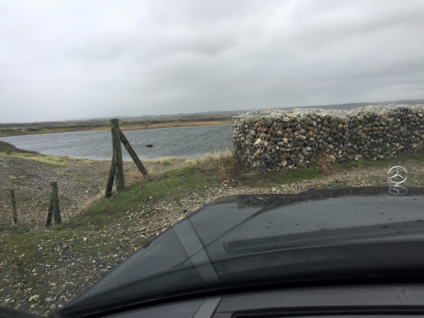 Cayeux Marshes