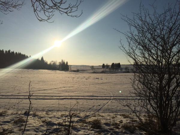 In The Harz Mountains